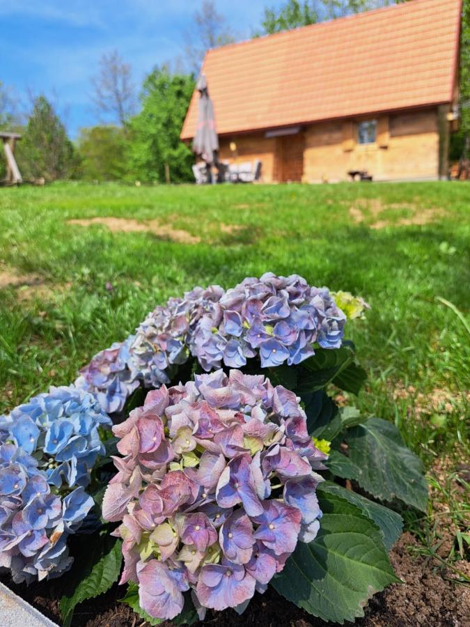 Guest House Mihovil Slunj Buitenkant foto